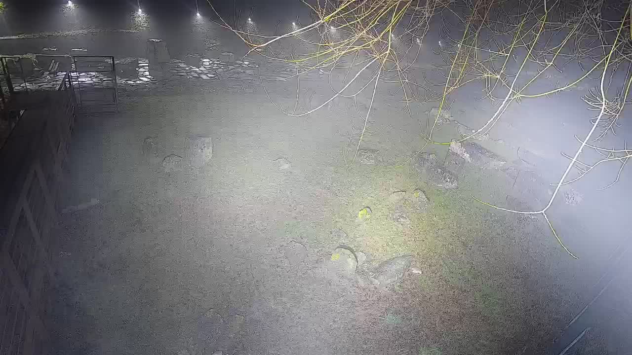 Aquileia – Decumano di Aratria Galla