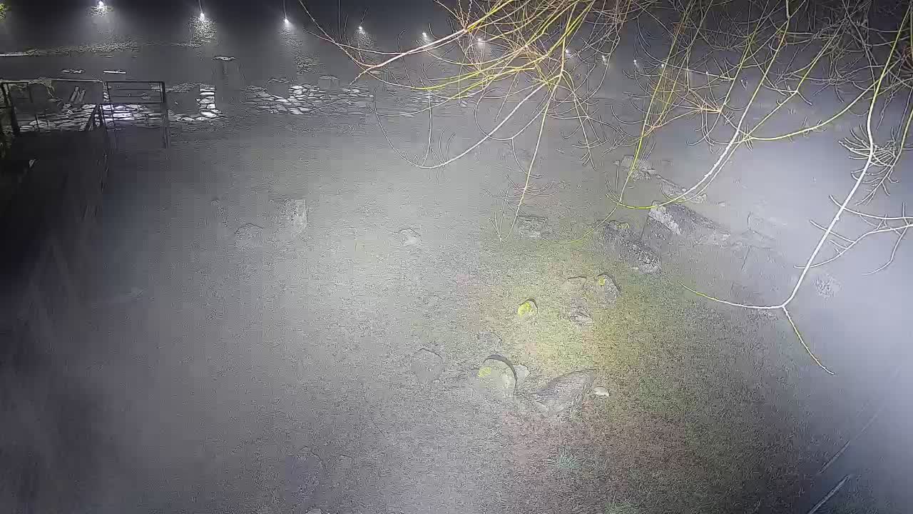 Aquileia – Decumano di Aratria Galla