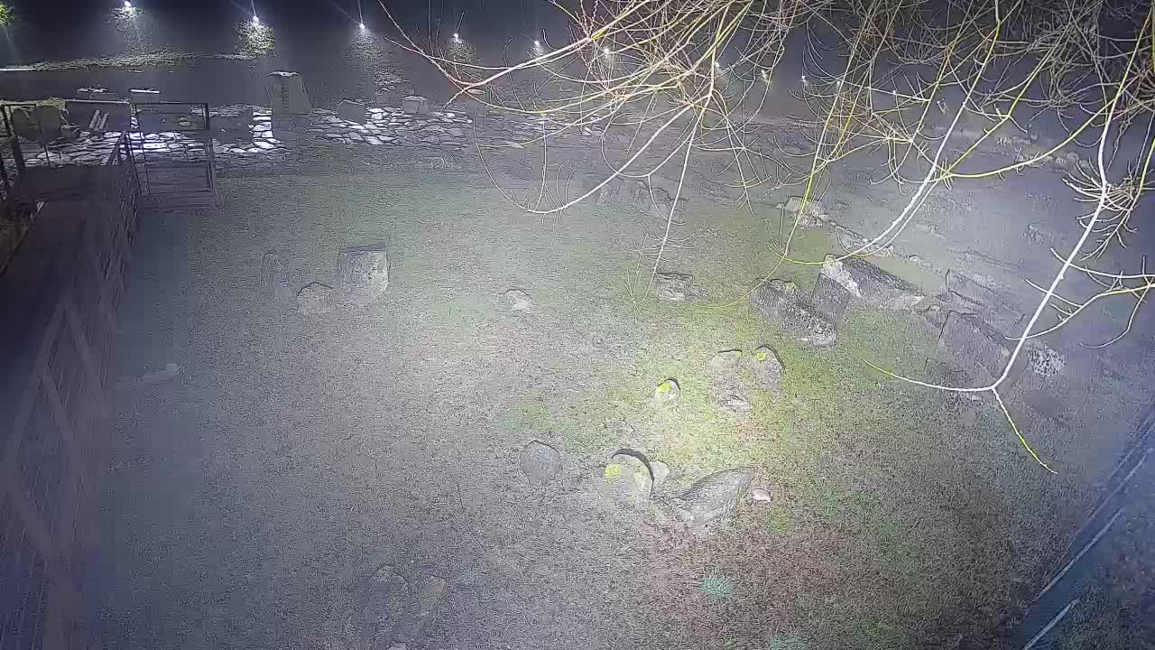 Aquileia – Decumano di Aratria Galla