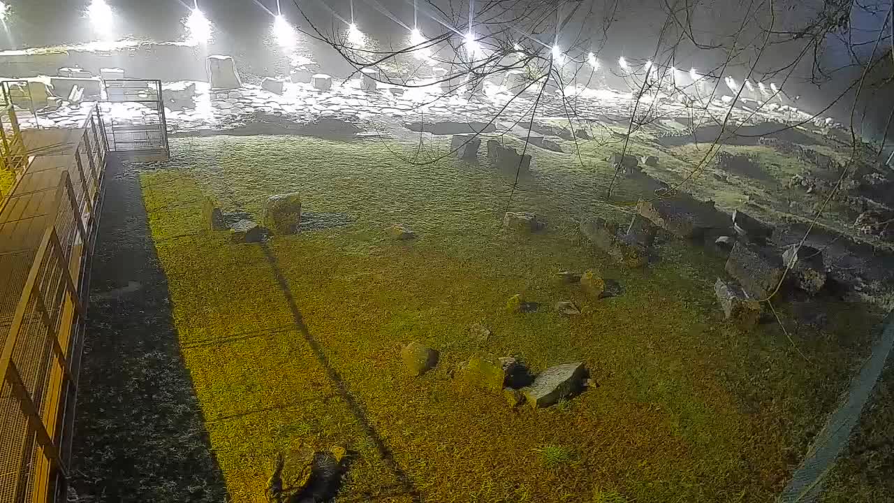 Aquileia – Decumano di Aratria Galla