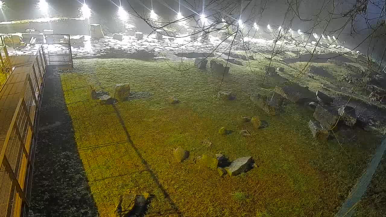 Aquileia – Decumano di Aratria Galla