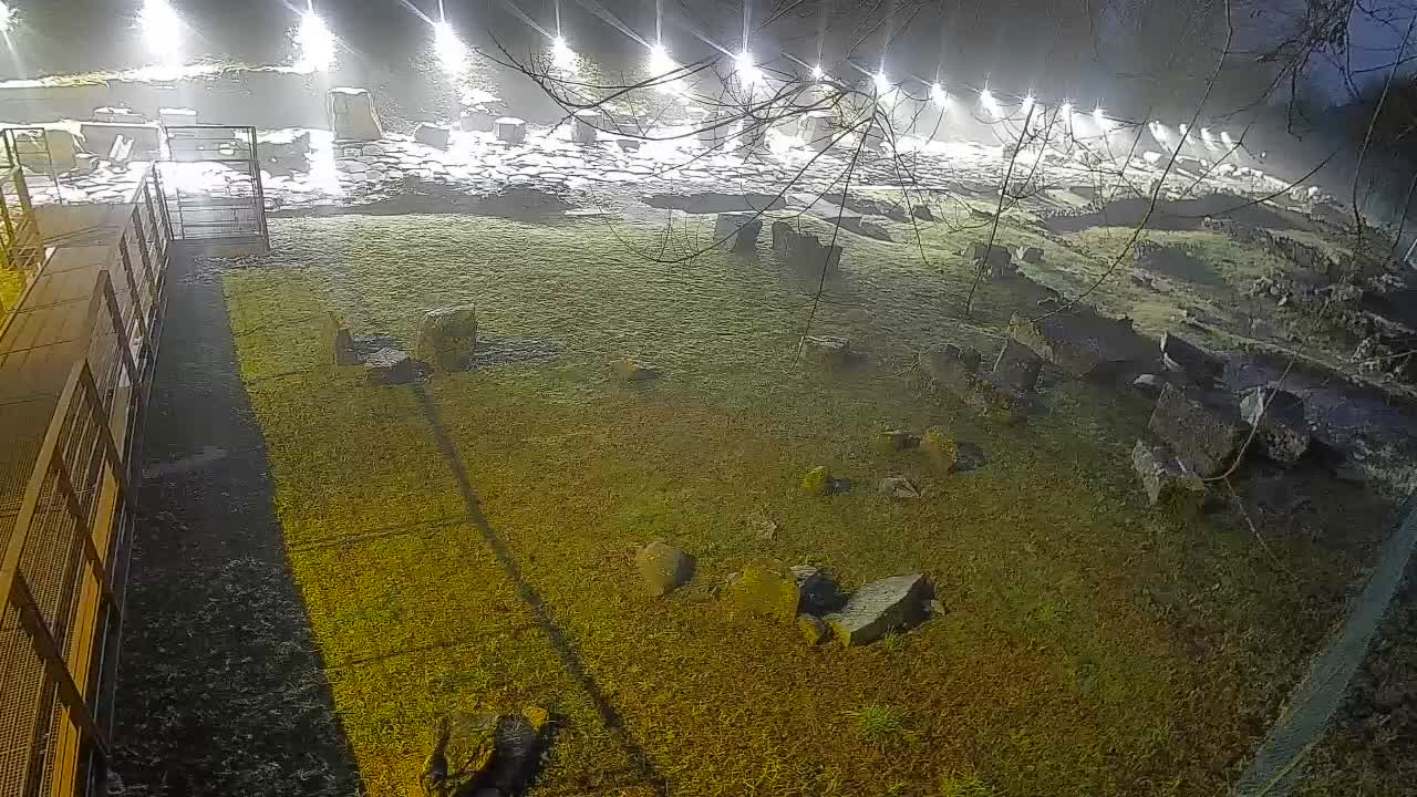 Aquileia – Decumano di Aratria Galla