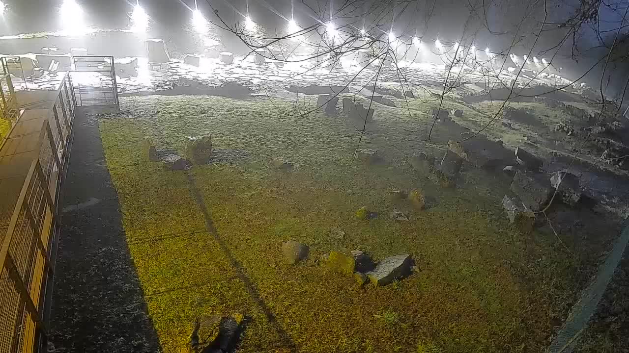 Aquileia – Decumano di Aratria Galla