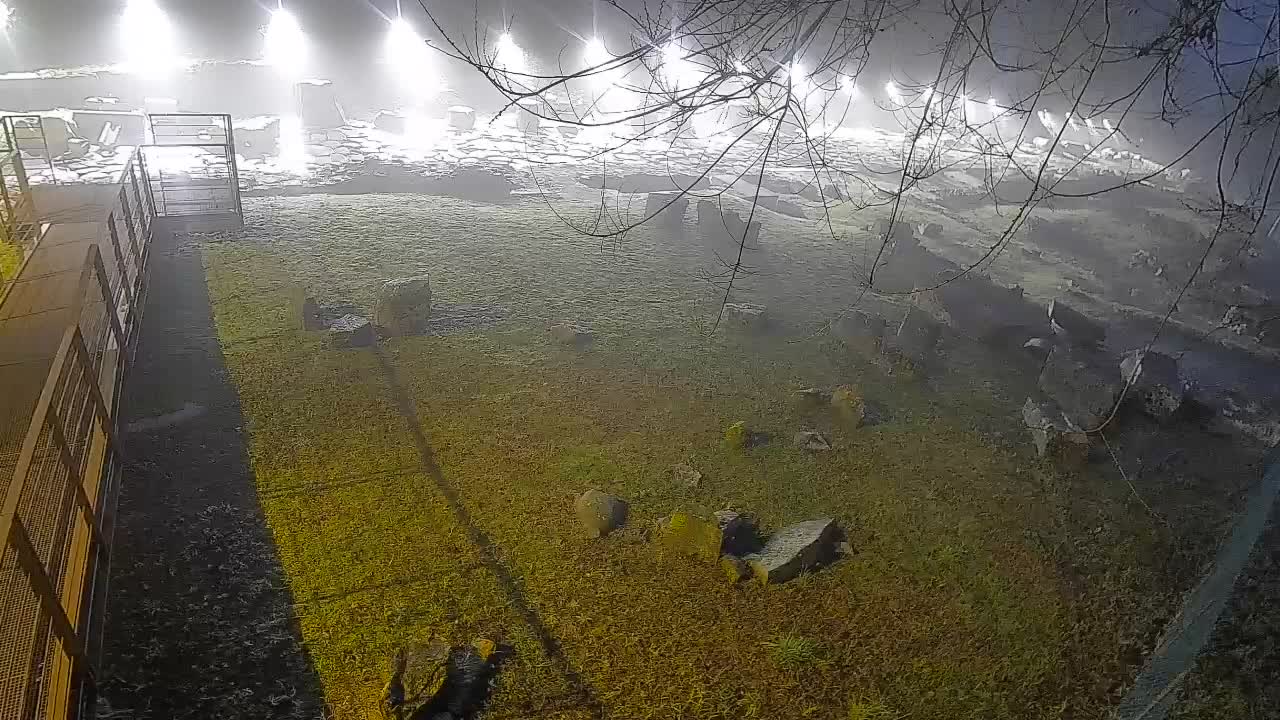 Aquileia – Decumano di Aratria Galla