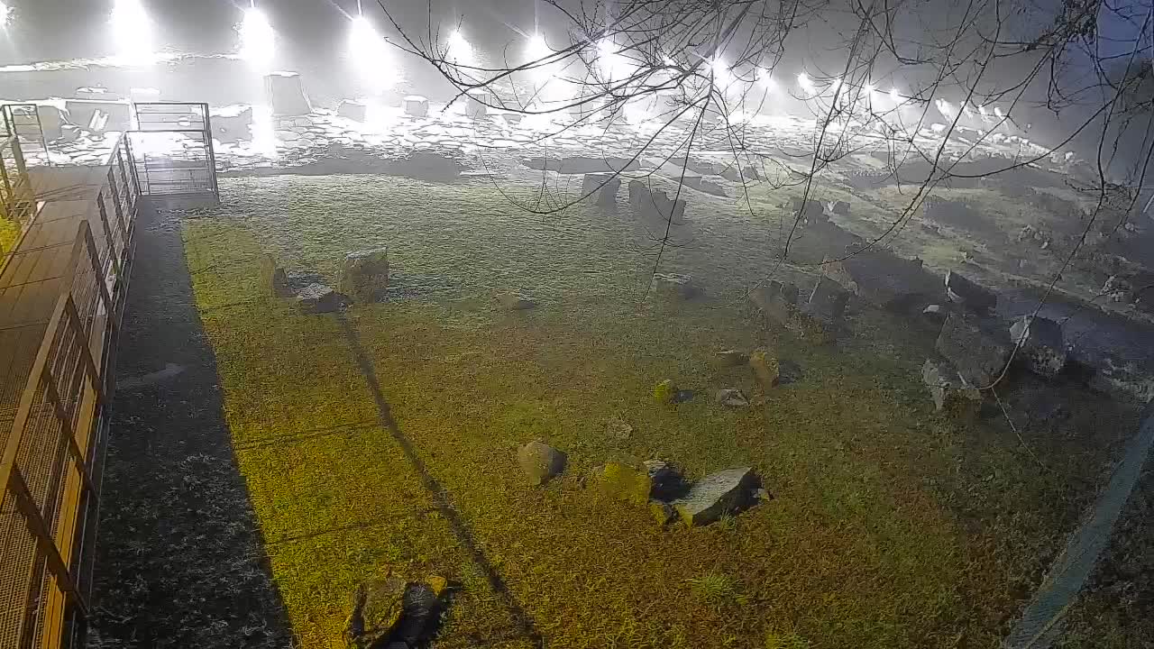 Aquileia – Decumano di Aratria Galla