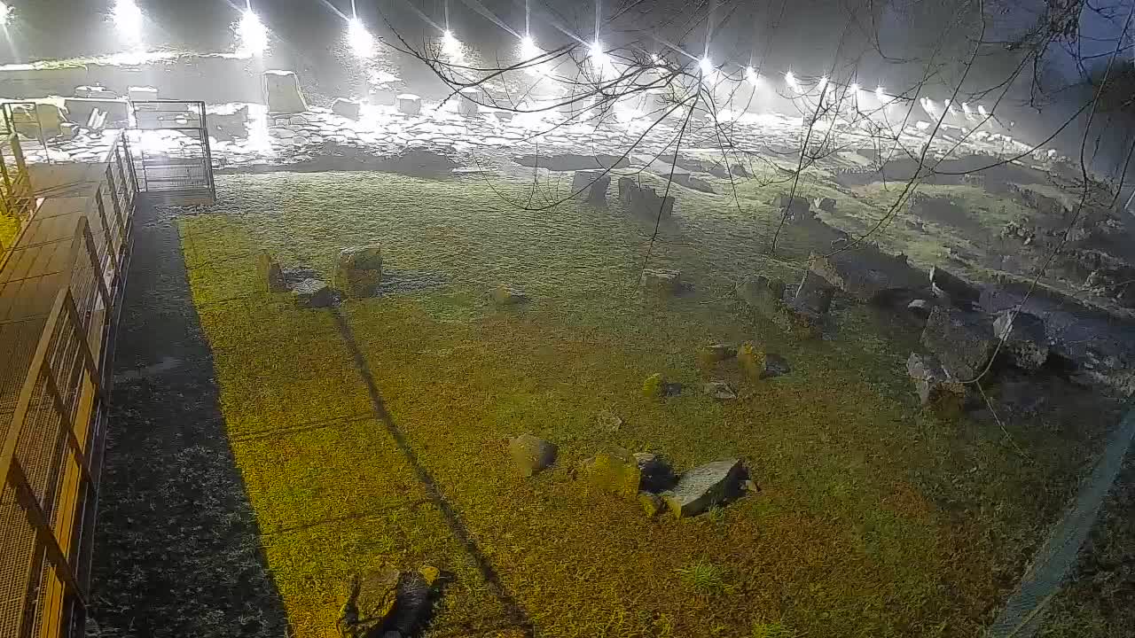 Aquileia – Decumano di Aratria Galla