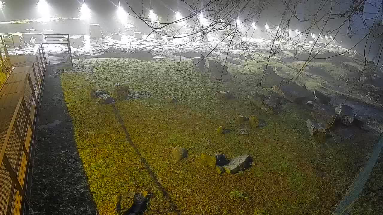 Aquileia – Decumano di Aratria Galla