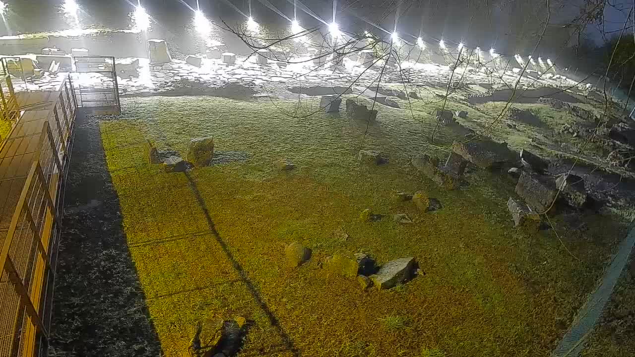 Aquileia – Decumano di Aratria Galla