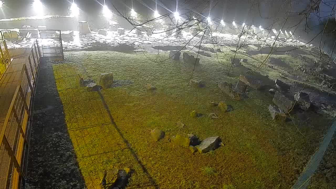 Aquileia – Decumano di Aratria Galla