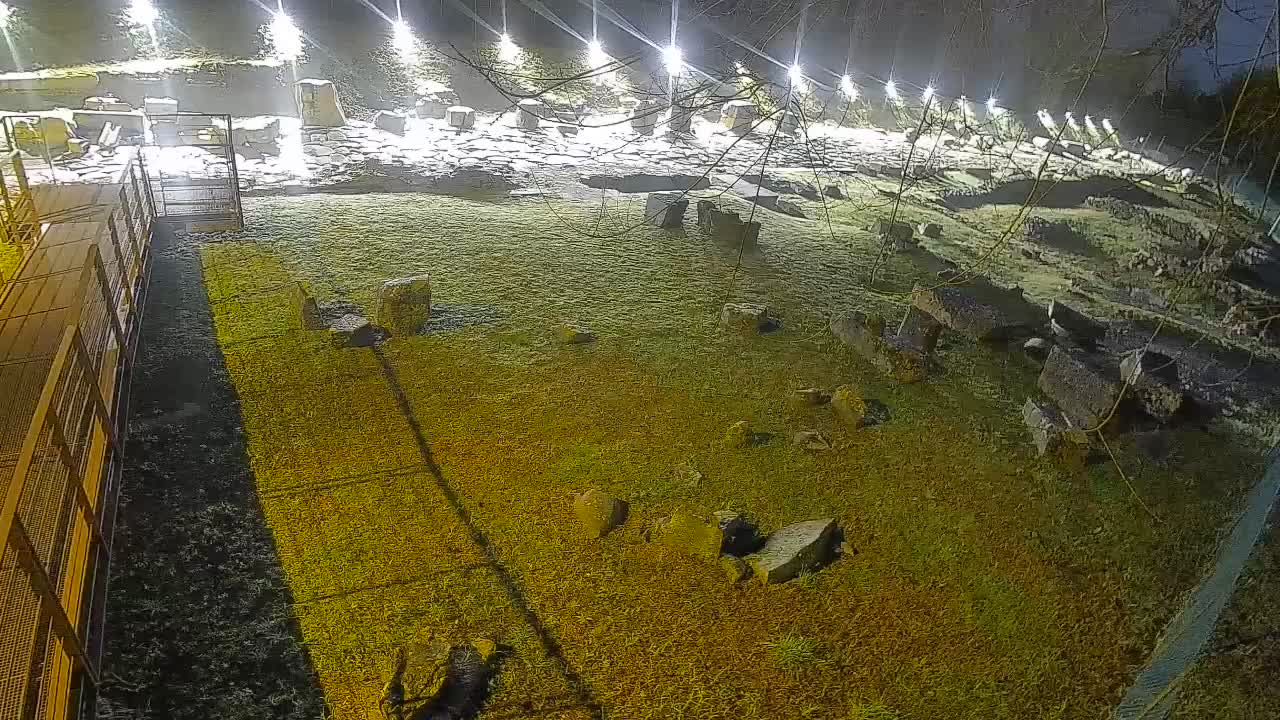 Aquileia – Decumano di Aratria Galla