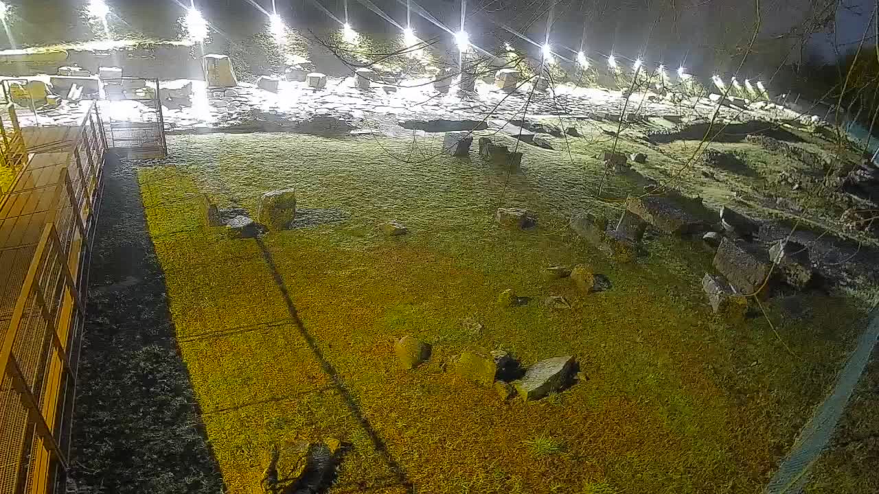 Aquileia – Decumano di Aratria Galla