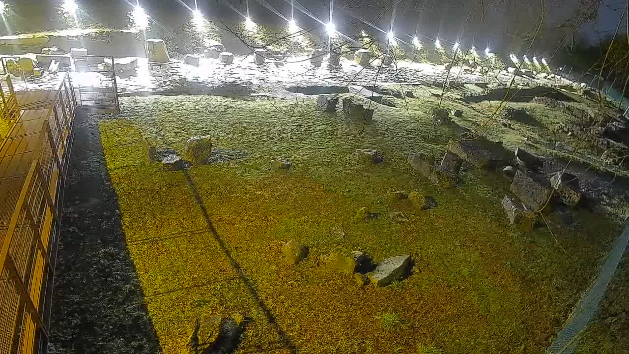 Aquileia – Decumano di Aratria Galla