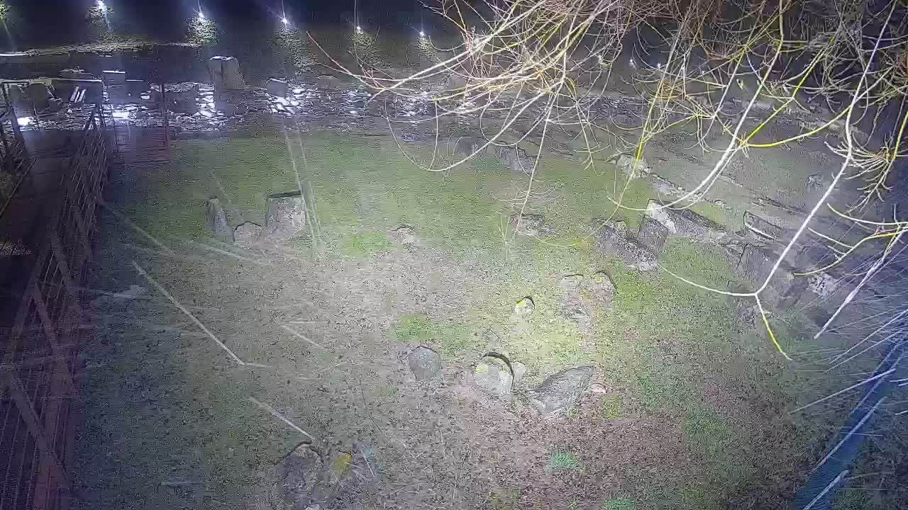 Aquileia – Decumano di Aratria Galla