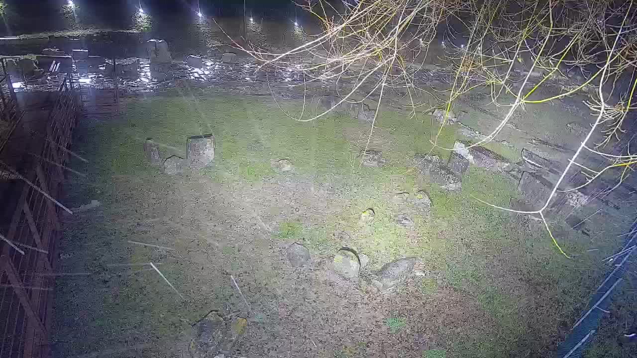 Aquileia – Decumano di Aratria Galla