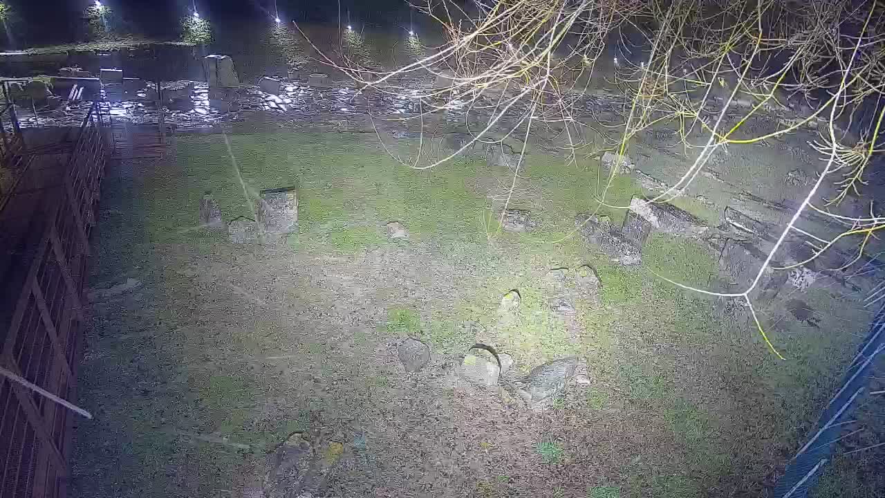 Aquileia – Decumano di Aratria Galla