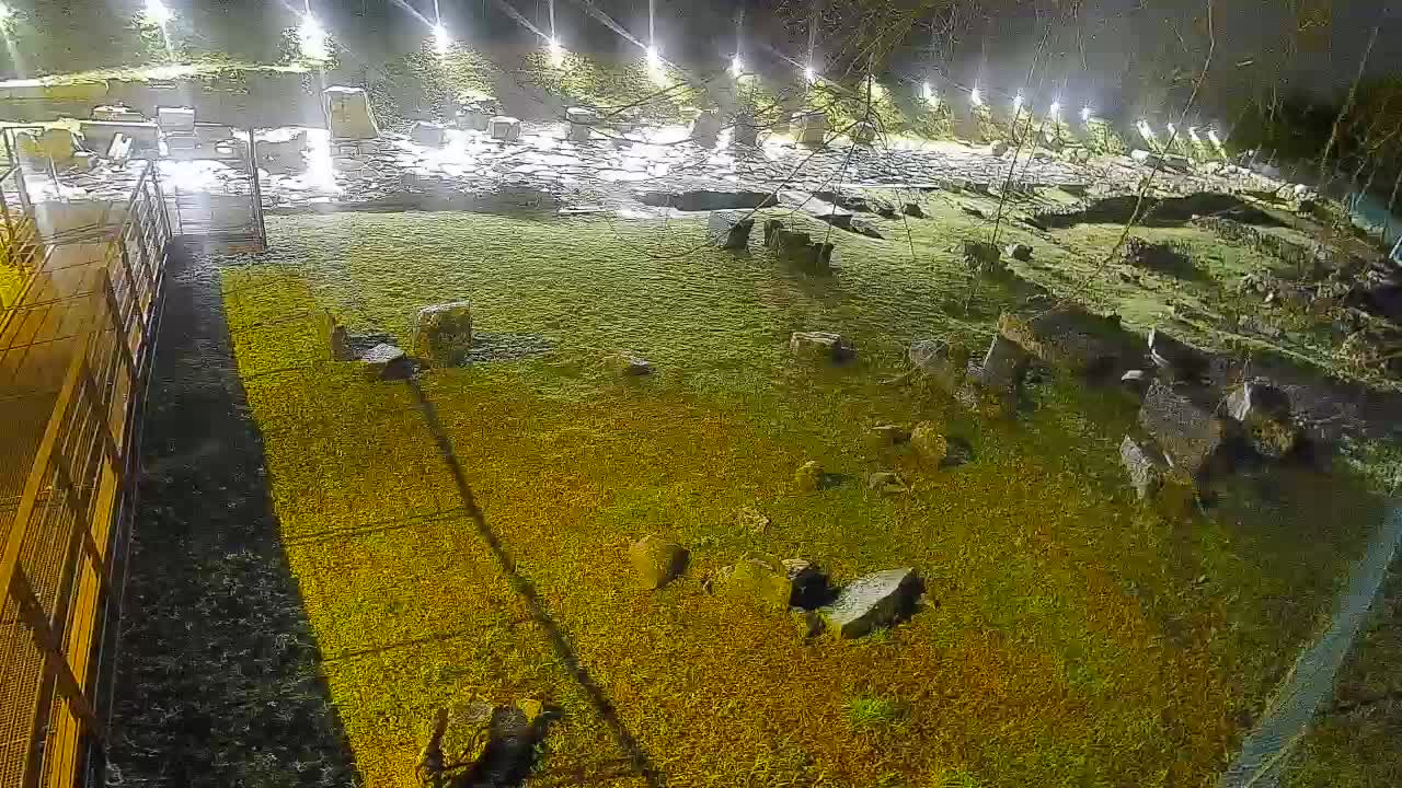 Aquileia – Decumano di Aratria Galla