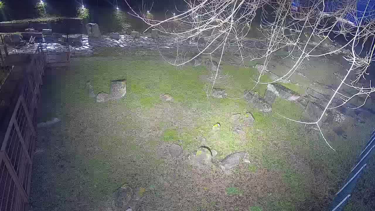 Aquileia – Decumano di Aratria Galla