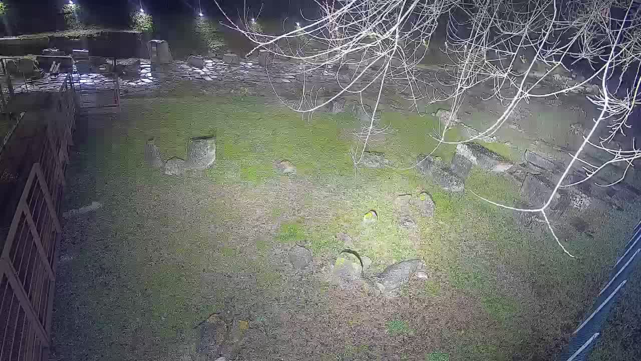 Aquileia – Decumano di Aratria Galla