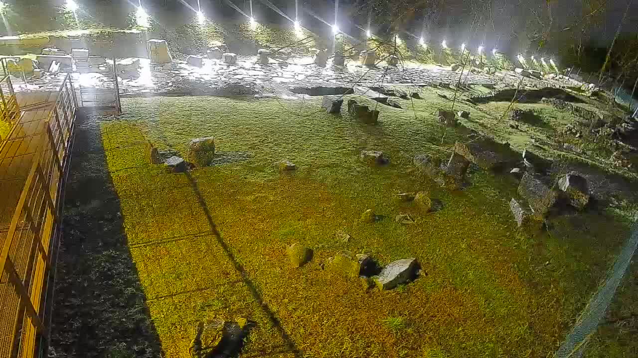 Aquileia – Decumano di Aratria Galla