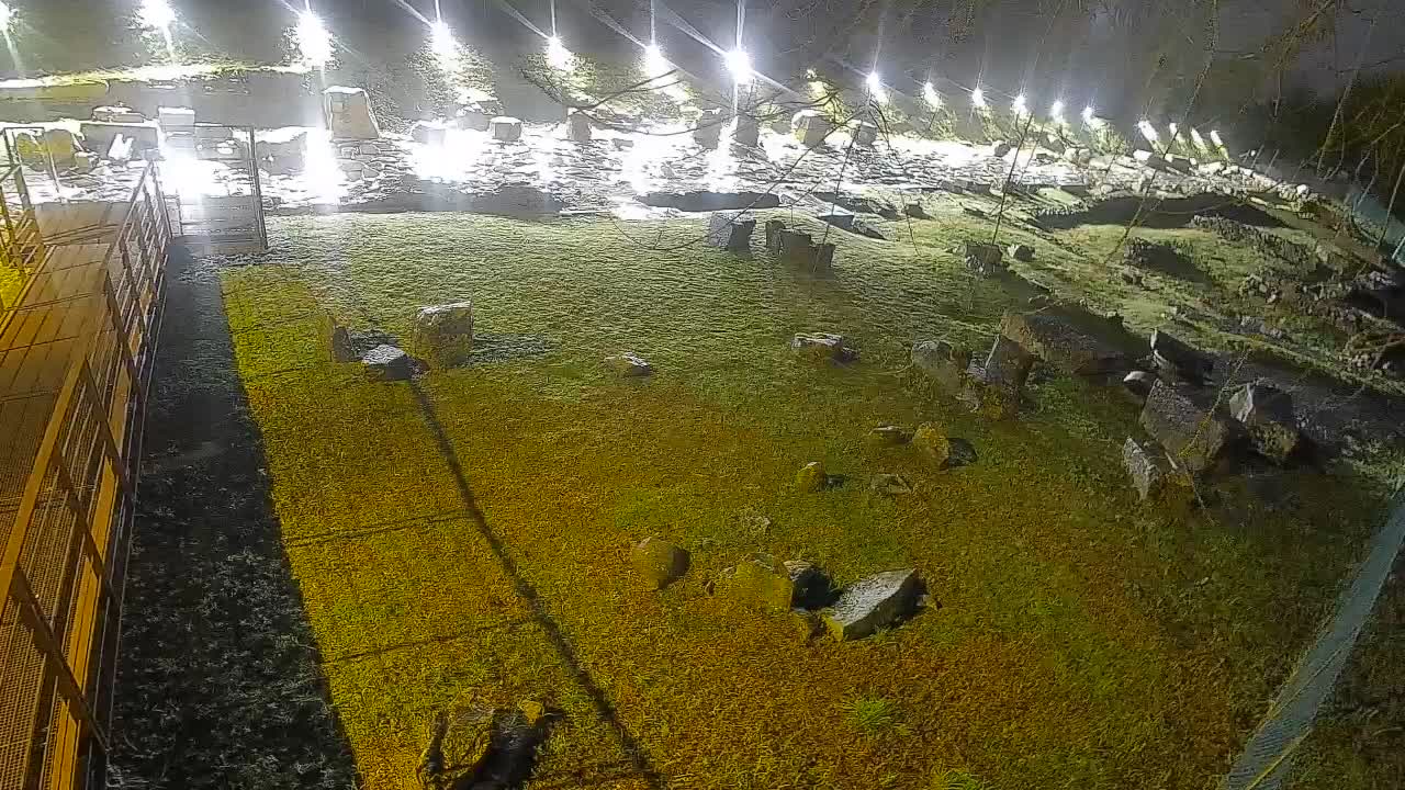 Aquileia – Decumano di Aratria Galla