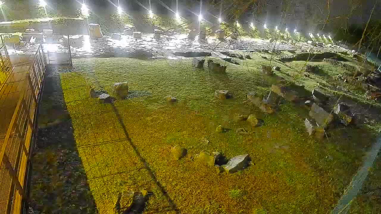 Aquileia – Decumano di Aratria Galla