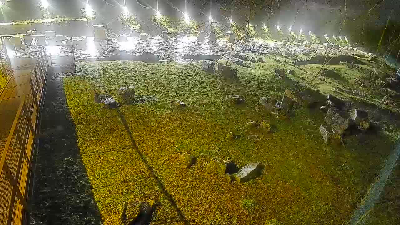 Aquileia – Decumano di Aratria Galla