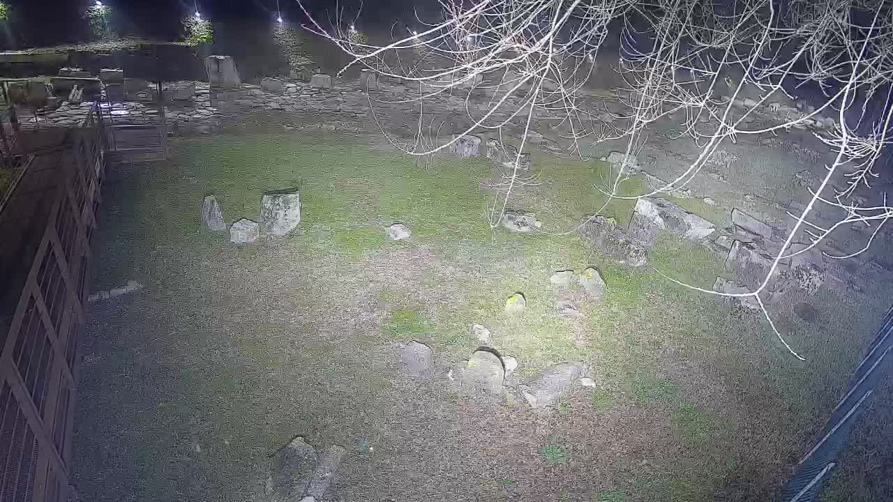 Aquileia – Decumano di Aratria Galla