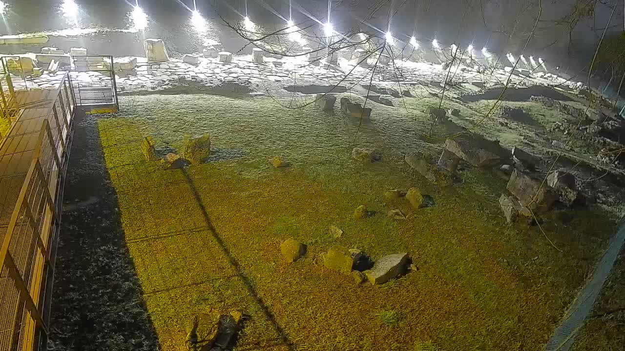 Aquileia – Decumano di Aratria Galla