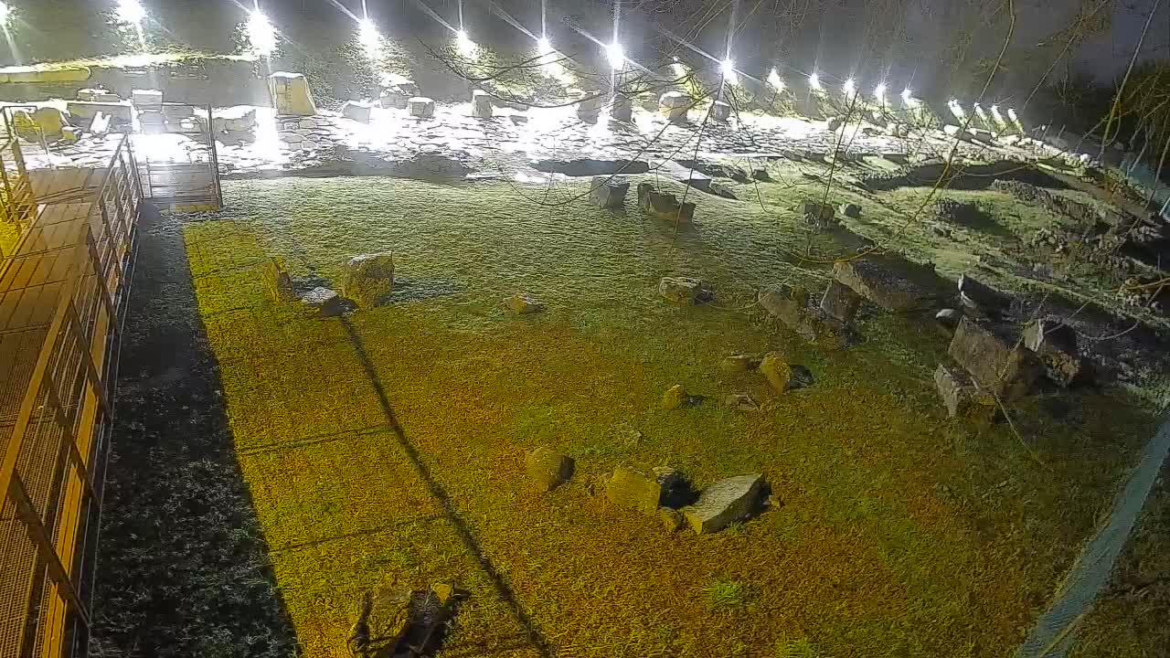 Aquileia – Decumano di Aratria Galla