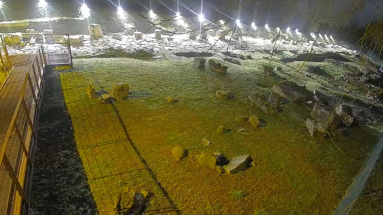 Aquileia – Decumano di Aratria Galla