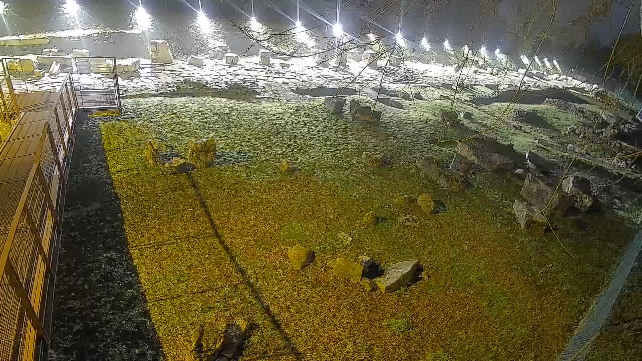 Aquileia – Decumano di Aratria Galla