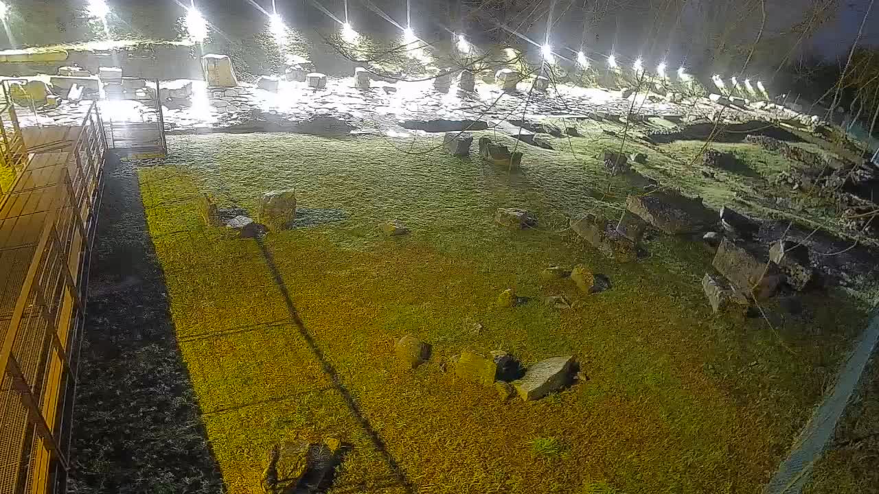 Aquileia – Decumano di Aratria Galla