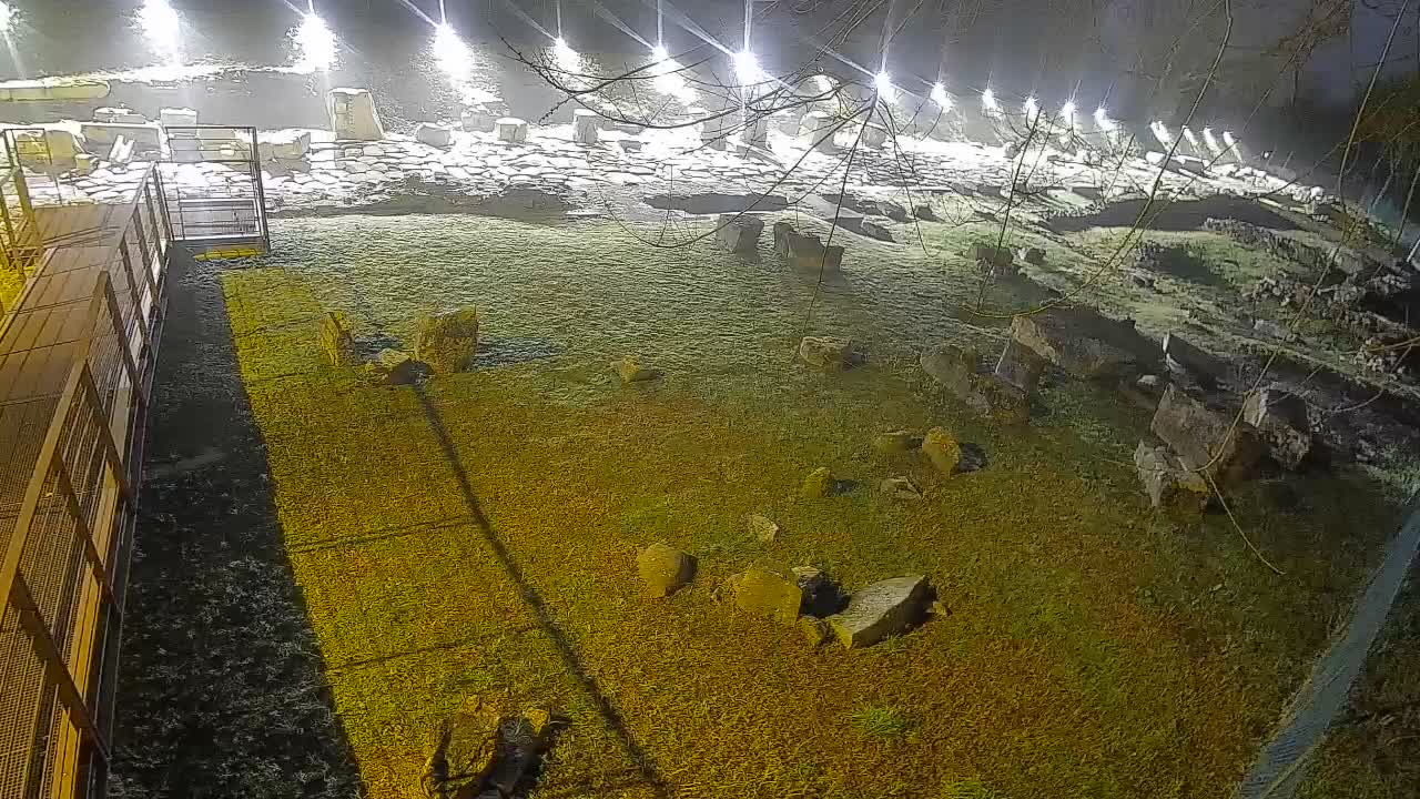 Aquileia – Decumano di Aratria Galla