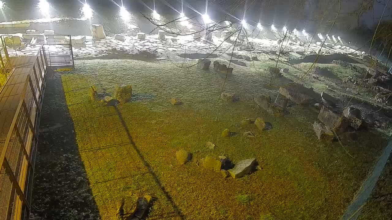 Aquileia – Decumano di Aratria Galla