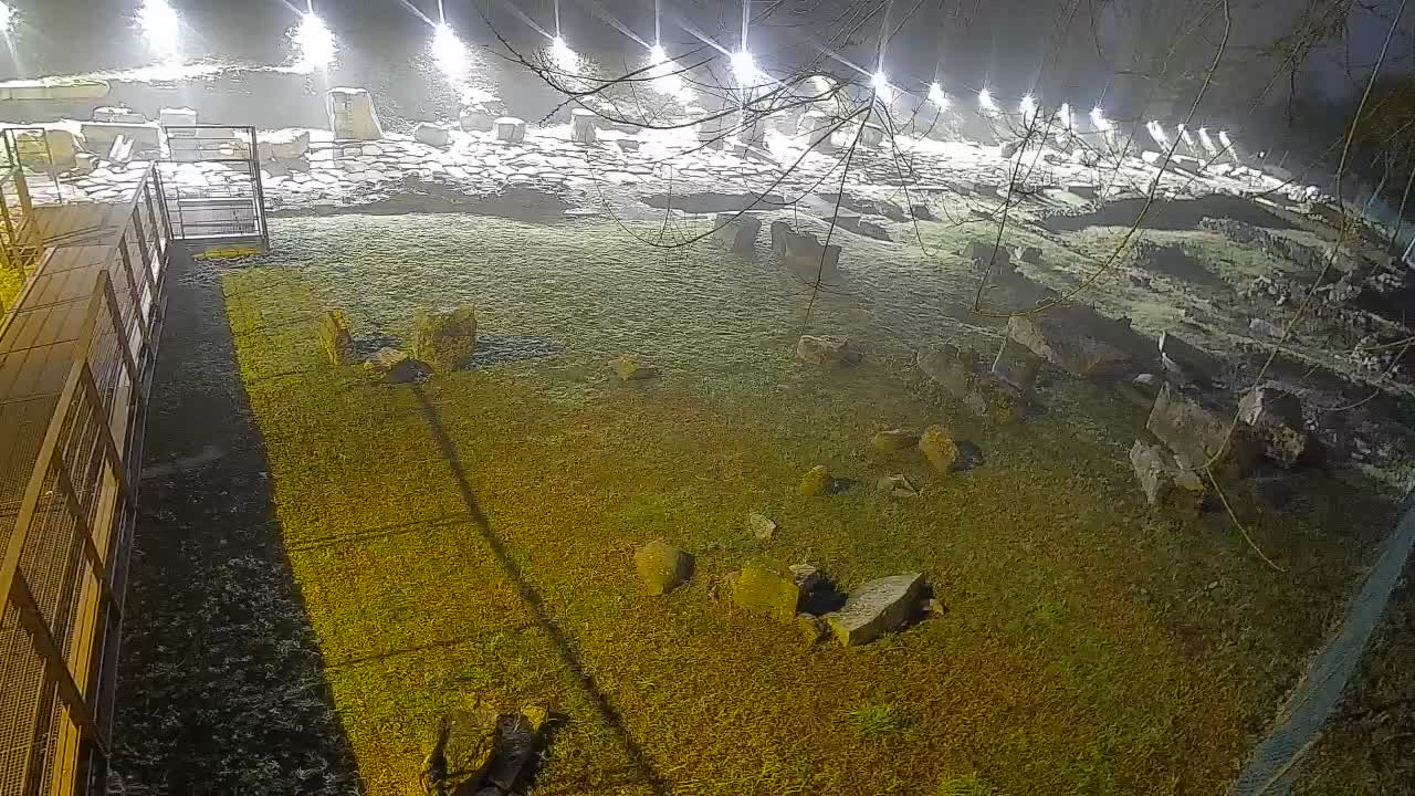 Aquileia – Decumano di Aratria Galla