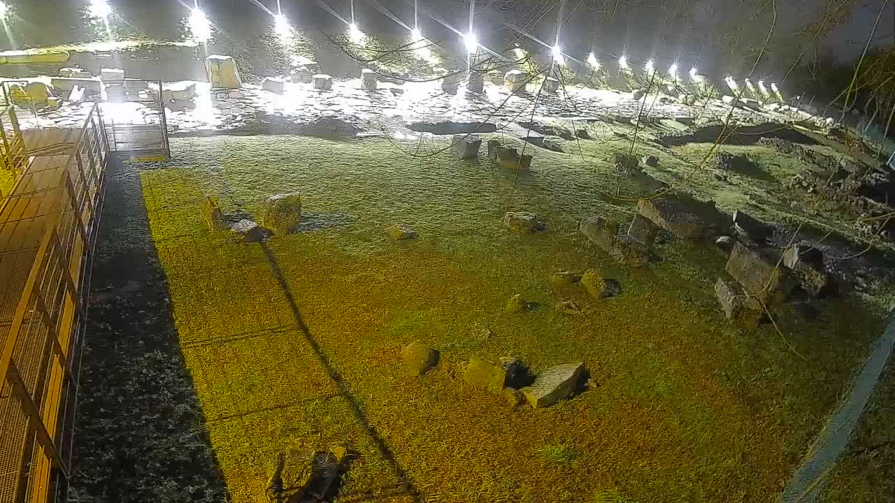 Aquileia – Decumano di Aratria Galla