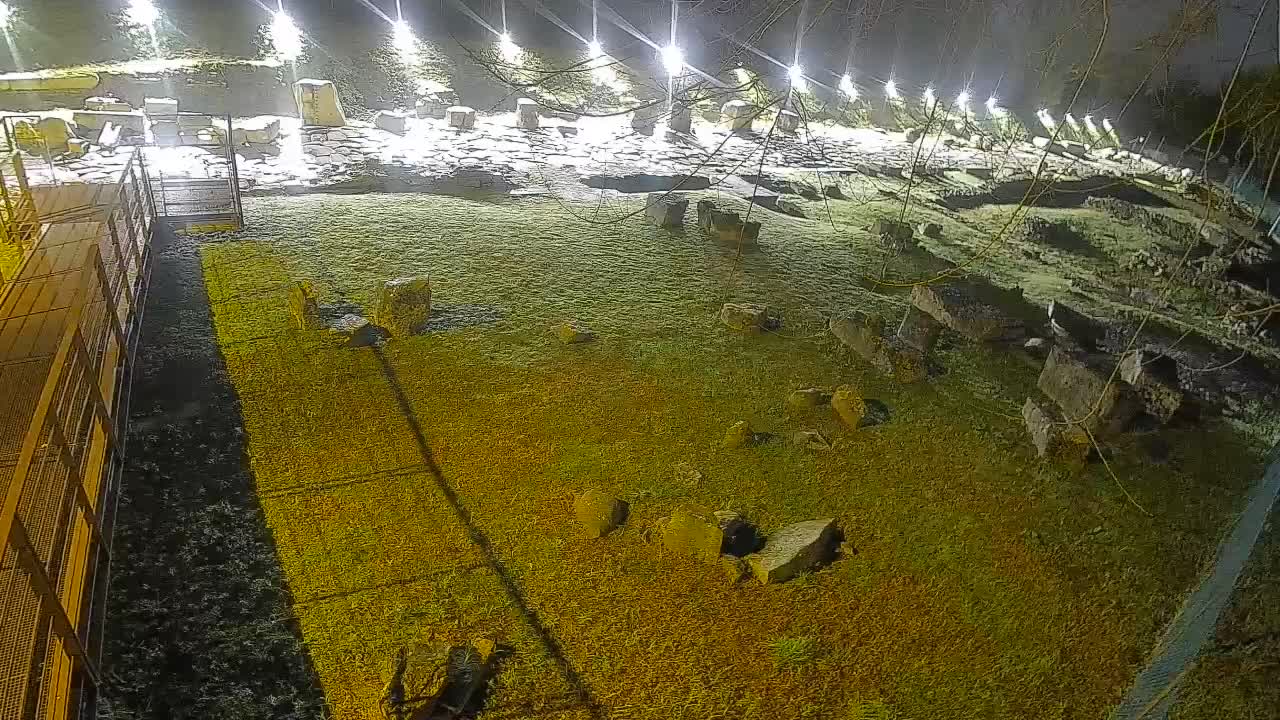 Aquileia – Decumano di Aratria Galla