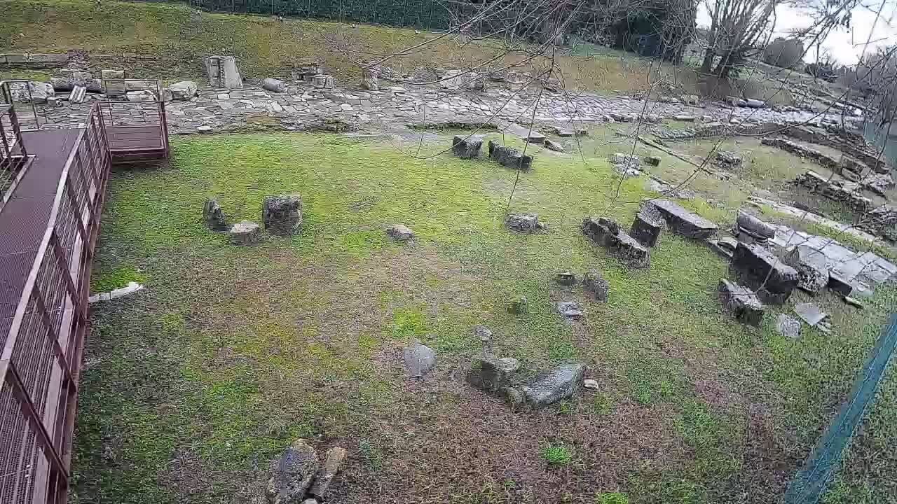 Aquileia – Decumano di Aratria Galla