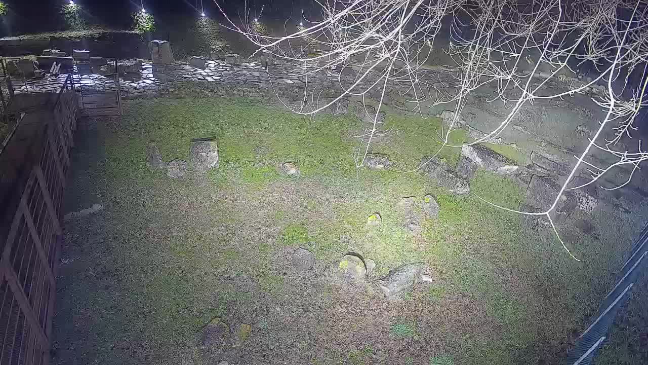 Aquileia – Decumano di Aratria Galla