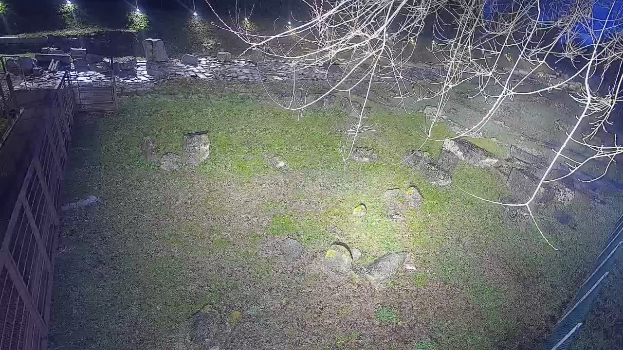 Akvileja – Decumano di Aratria Galla