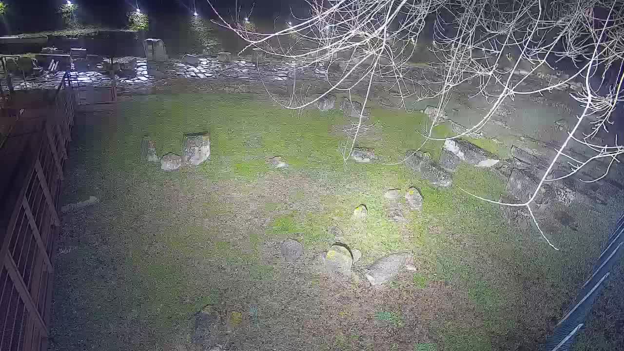 Aquileia – Decumano di Aratria Galla