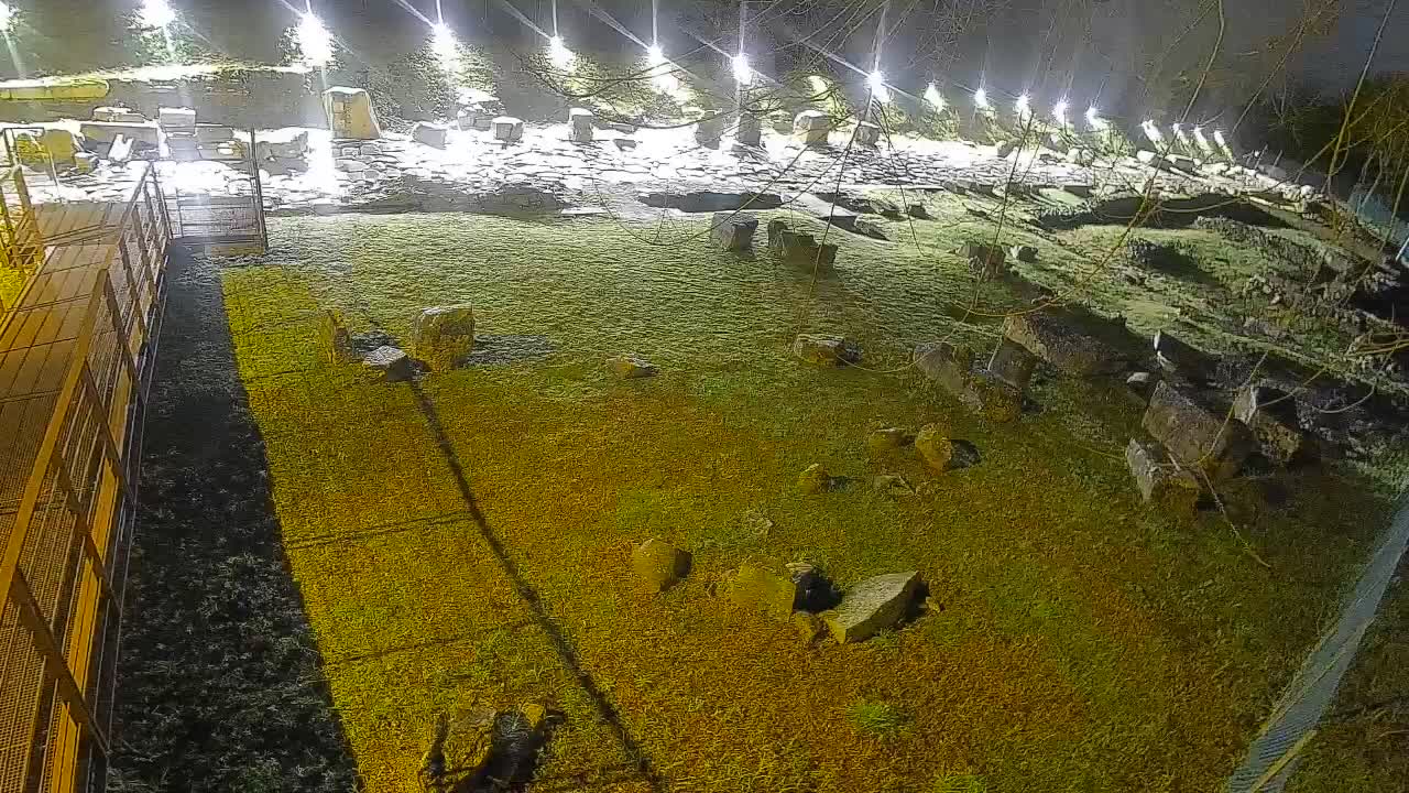 Oglej – Decumano Aratria Galla