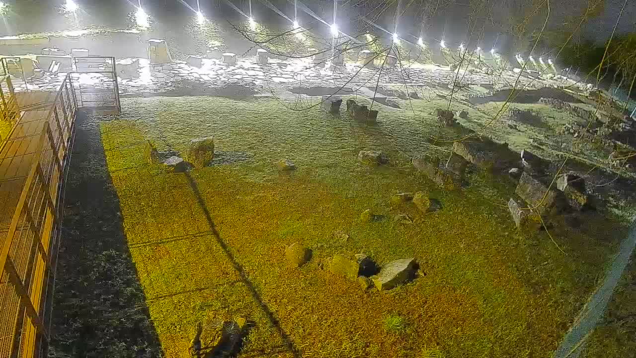 Aquileia – Decumano di Aratria Galla