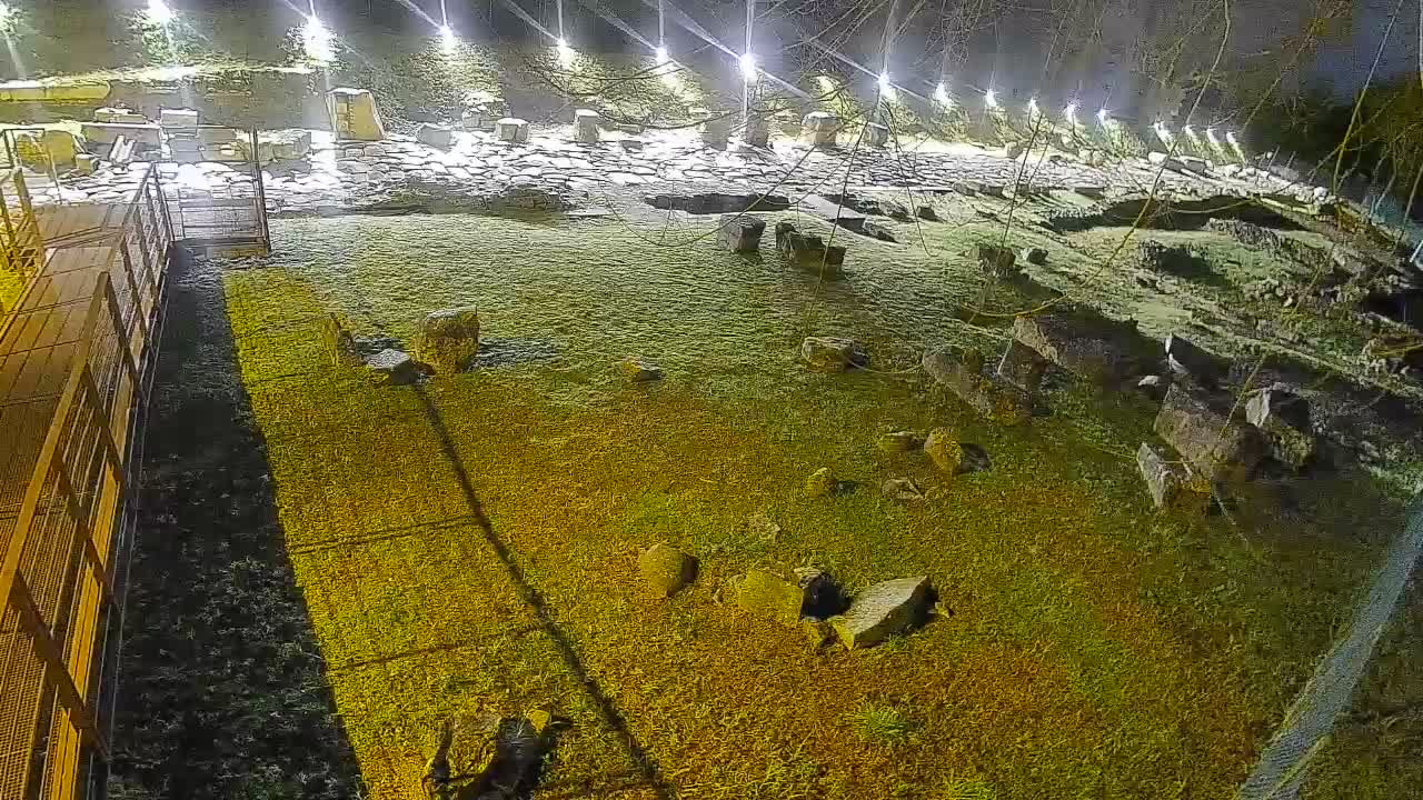 Akvileja – Decumano di Aratria Galla