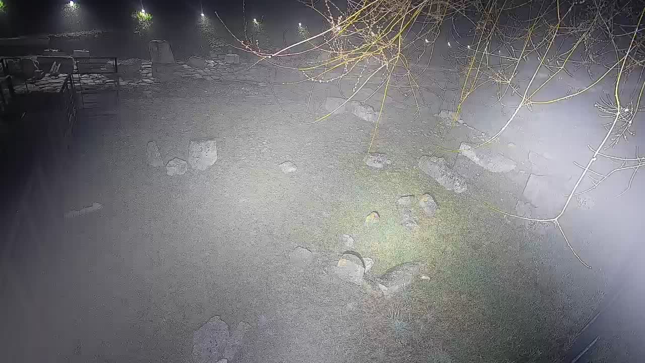 Aquileia – Decumano di Aratria Galla