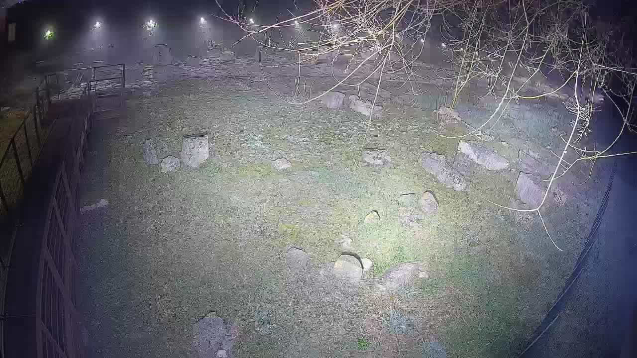 Aquileia – Decumano di Aratria Galla