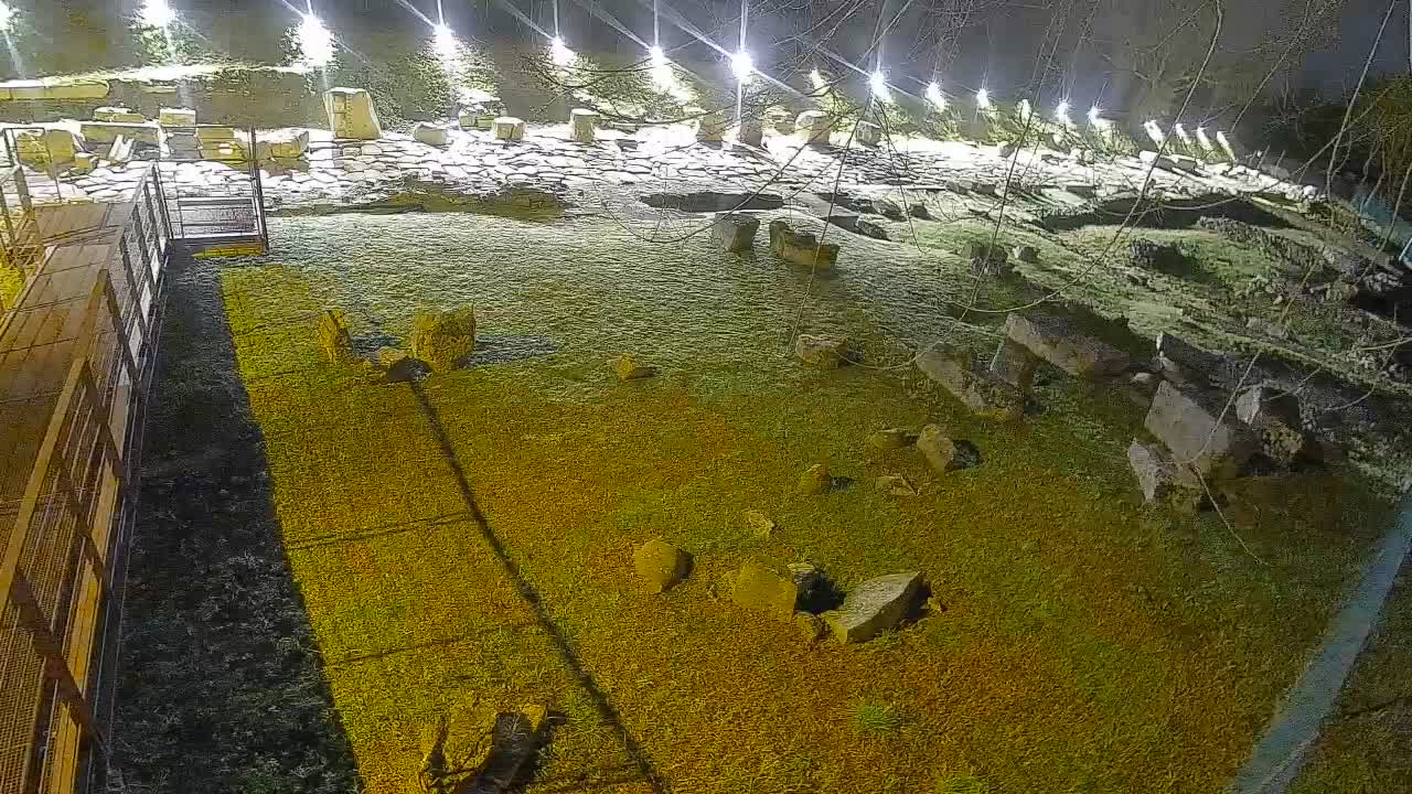 Akvileja – Decumano di Aratria Galla