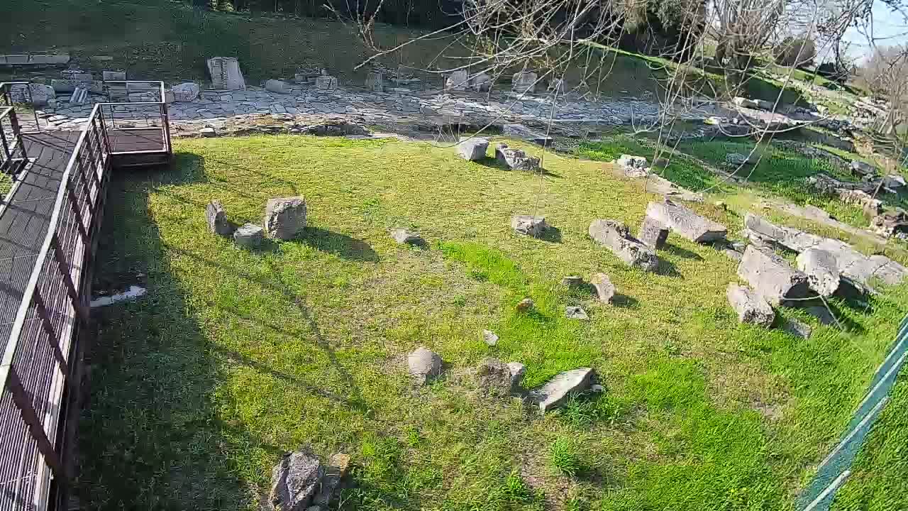 Akvileja – Decumano di Aratria Galla