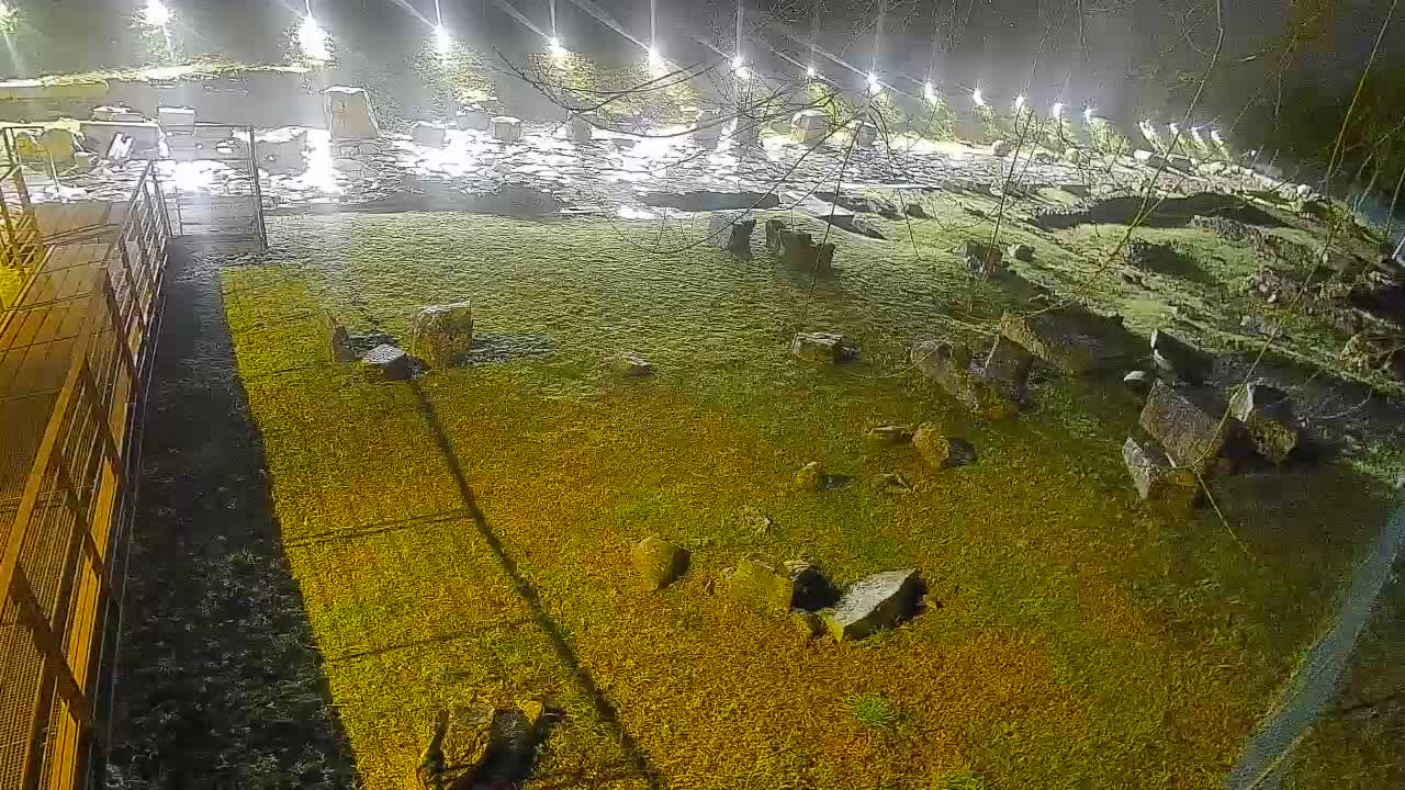 Aquileia – Decumano di Aratria Galla