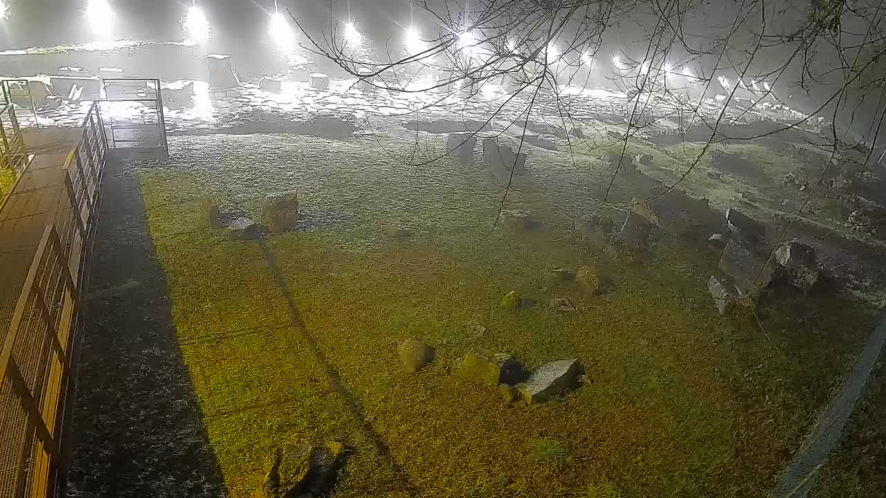 Aquileia – Decumano di Aratria Galla